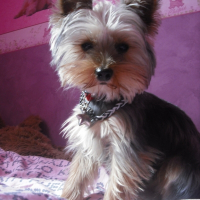 Photo de profil de Elliot