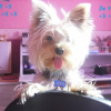 Photo de Eurby
