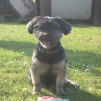 Photo de profil de Snoopy