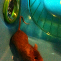 Photo de profil de Clarice