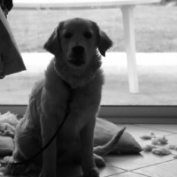 Photo de profil de Bonnie