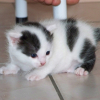 Photo de Bouboule