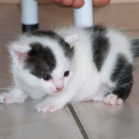 Photo de profil de Bouboule
