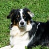 Photo de Filou