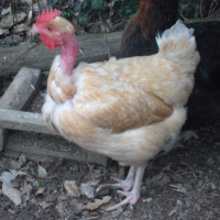 Photo de profil de Segolène