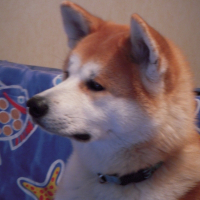 Photo de profil de E'misao