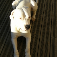 Photo de profil de Thor