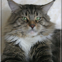 Photo de profil de Abenakis de skowegan