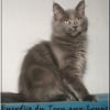 Photo de Eurydice du trou aux loups