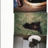 Photo de Manou