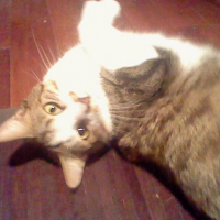 Photo de profil de Mimi