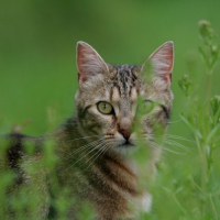 Photo de profil de Adora 