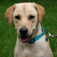 Photo de profil de Marley