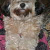 Photo de Nala