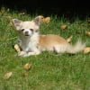 Photo de Perle
