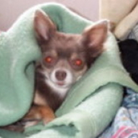 Photo de profil de Ketty