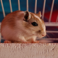 Photo de profil de Leo