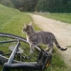 Photo de Duchesse