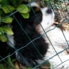 Photo de Dansley