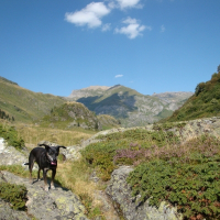 Photo de profil de Pistache