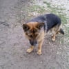 Photo de Echo
