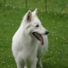 Photo de Alaska
