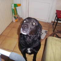 Photo de profil de Onyx