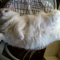 Photo de profil de Claudy