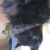 Photo de Nounours