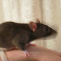 Photo de profil de Laly