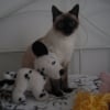 Photo de Candyce