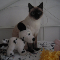Photo de profil de Candyce