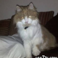 Photo de profil de Armani
