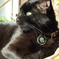Photo de profil de Juliette