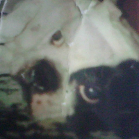 Photo de profil de Bod