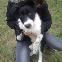 Photo de profil de First