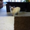 Photo de Fuji