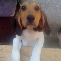 Photo de profil de Fina