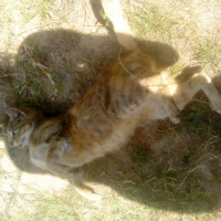 Photo de profil de Pistache