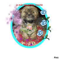 Photo de profil de Endy