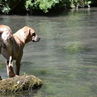 Photo de profil de Benco