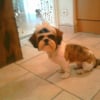 Photo de Figaro