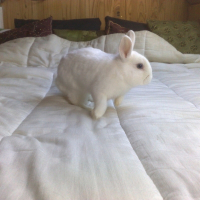 Photo de profil de Bugs
