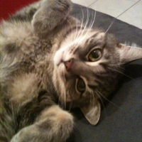Photo de profil de Guinness