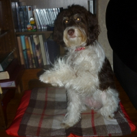 Photo de profil de Youpi
