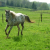 Photo de Indra