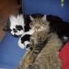 Photo de Bouchon