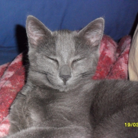 Photo de profil de Capsule