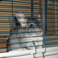 Photo de profil de Bruno
