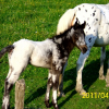 Photo de Bounty